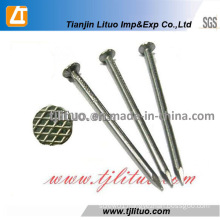 Tianjin Manufacurer Supply Polished Common Nails Common Iron Nails